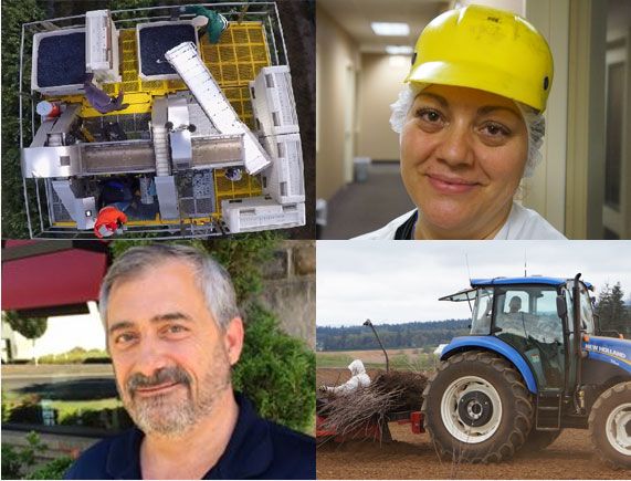 Meduri Farms employees and facilities