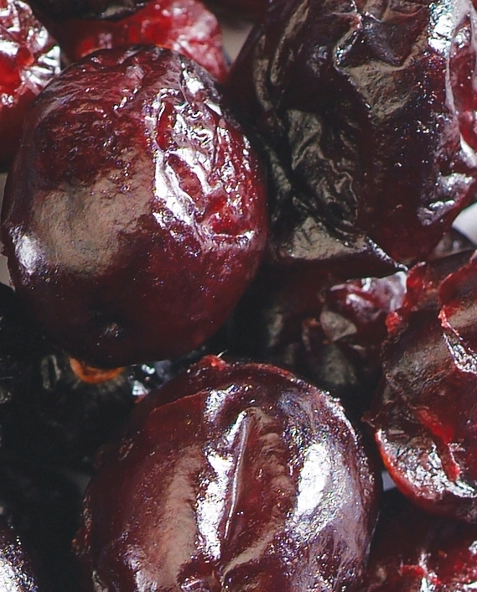 Sour Cherry