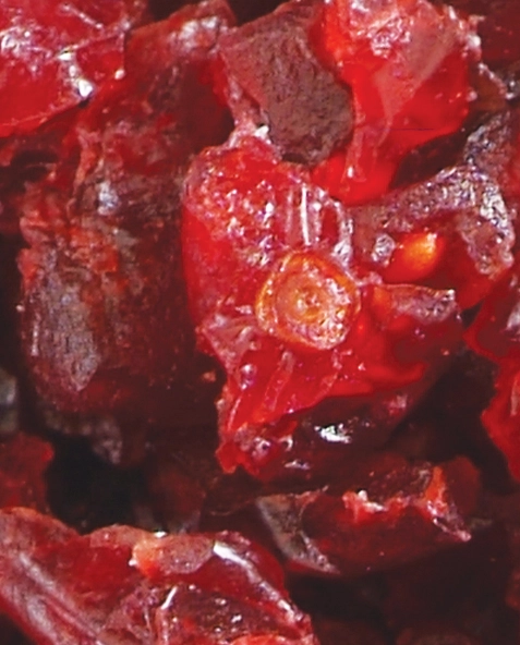 Cranberry